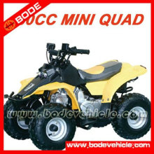 FOUR STROKE ATV QUAD BIKE (MC-302)